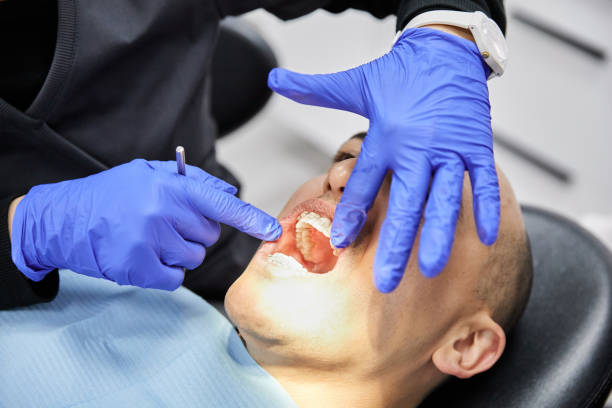 Best Emergency Root Canal Therapy in Traverse City, MI